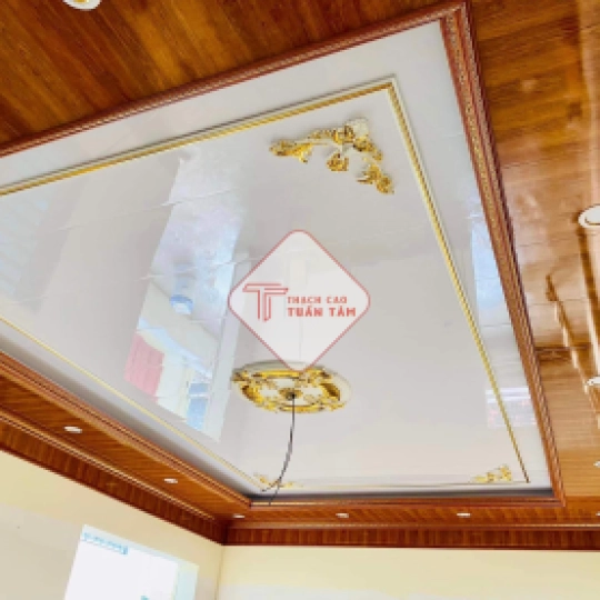 Trần nhựa 01