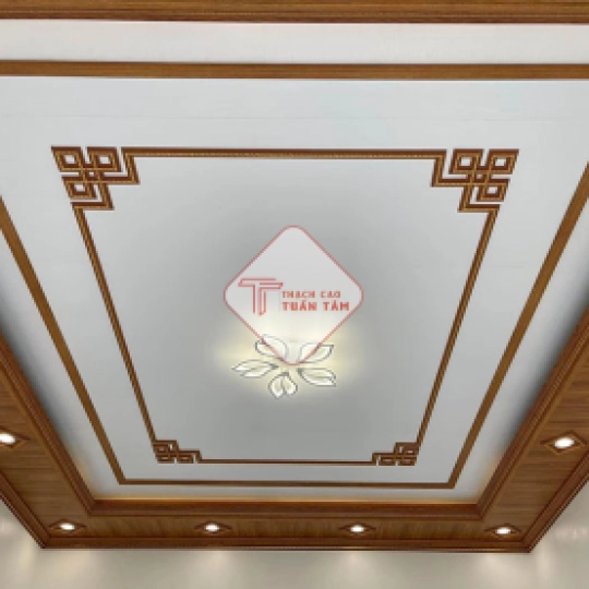 Trần nhựa 03