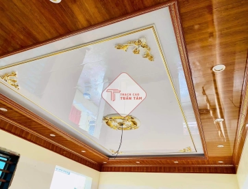 Trần nhựa 01