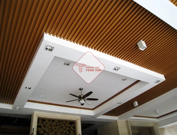 Trần nhựa 10