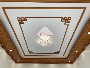 Trần nhựa 03