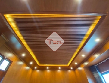 Trần nhựa 08